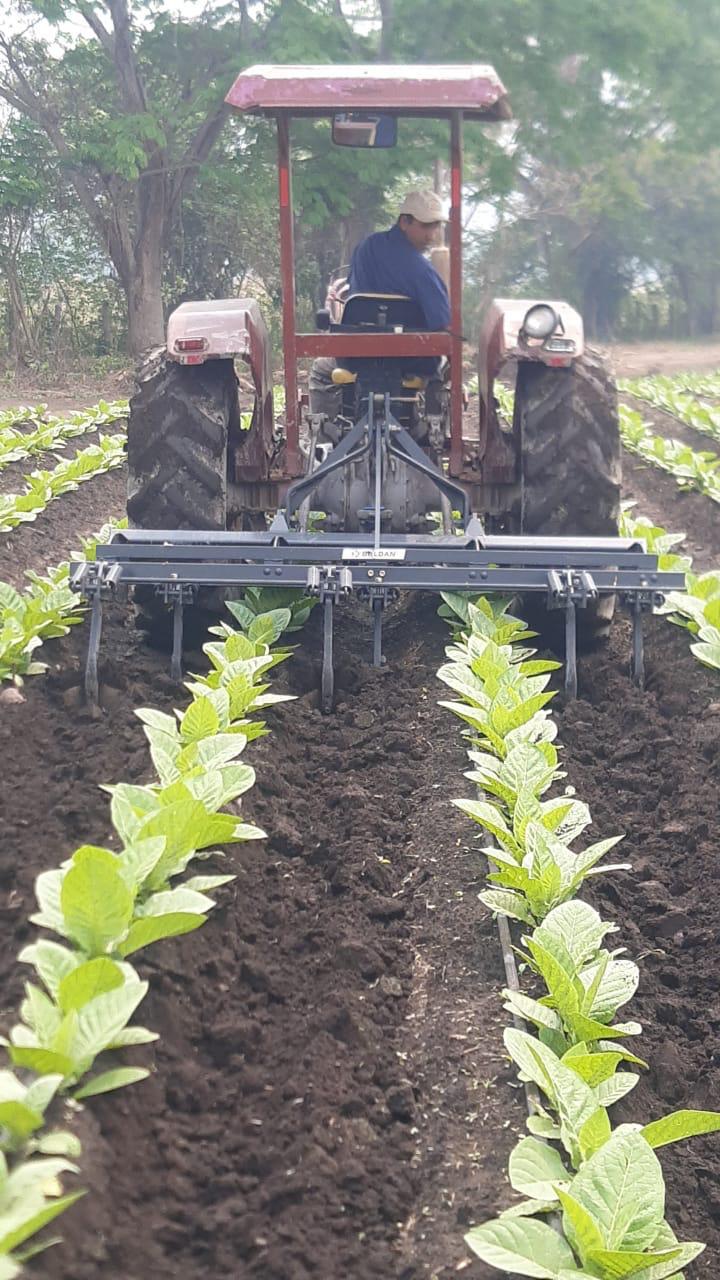 Aporque con tractor