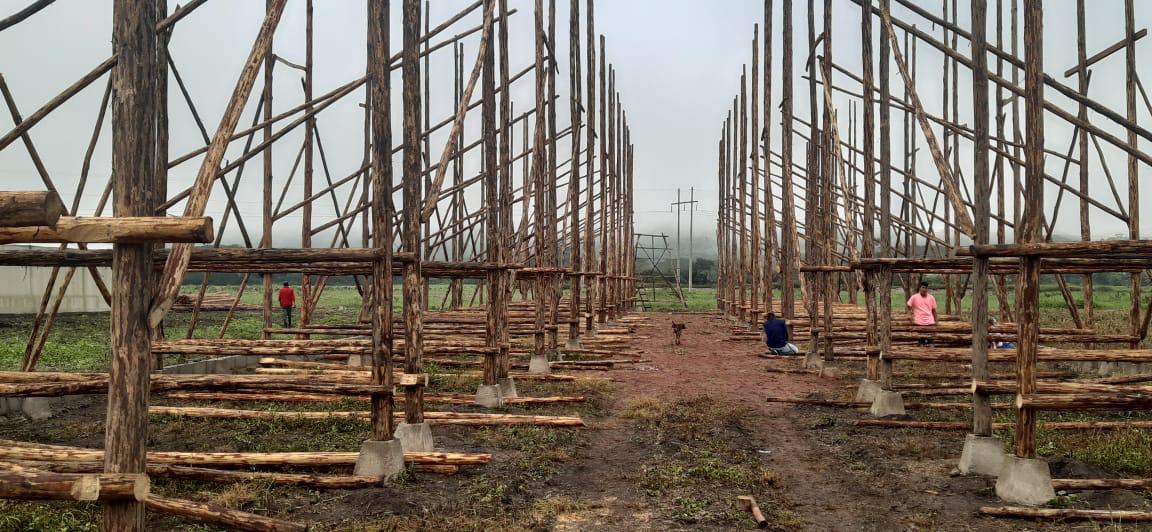 Casa de curado - estructura