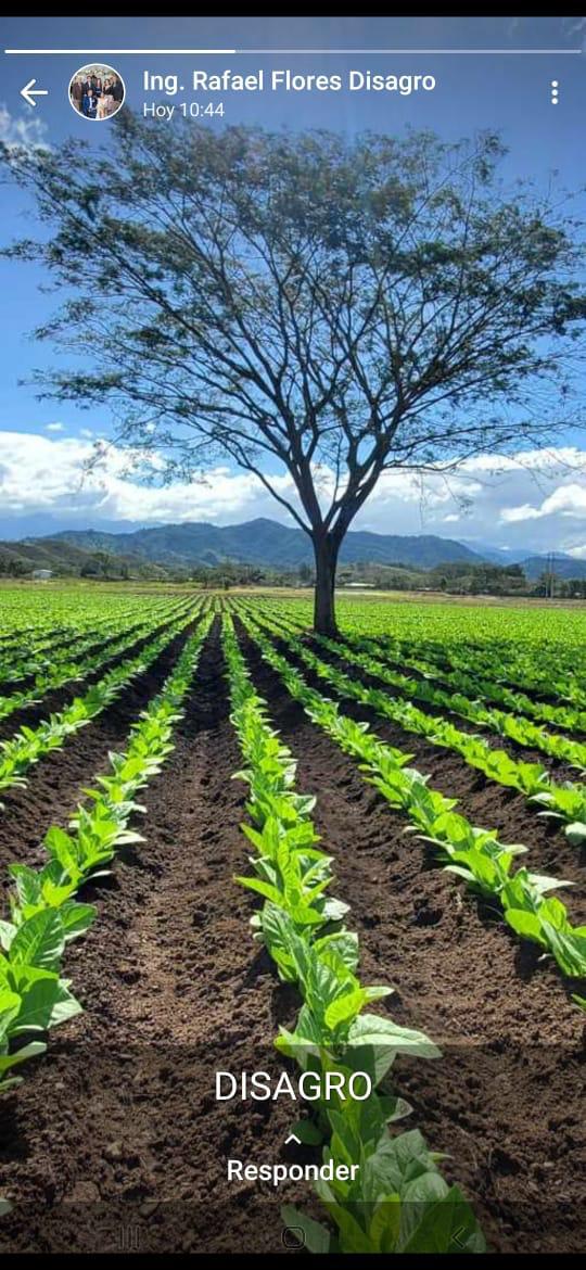 Colaboración con DISAGRO