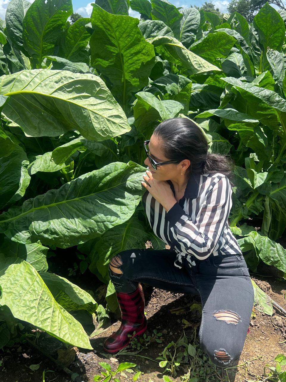 Maritza inspeccionando el cultivo