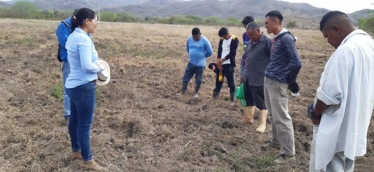 Liderazgo en el campo