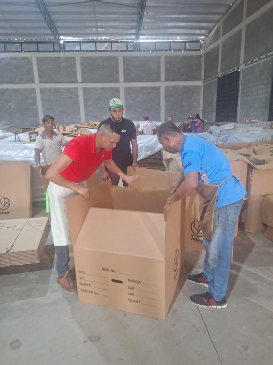 Cajas listas para exportar