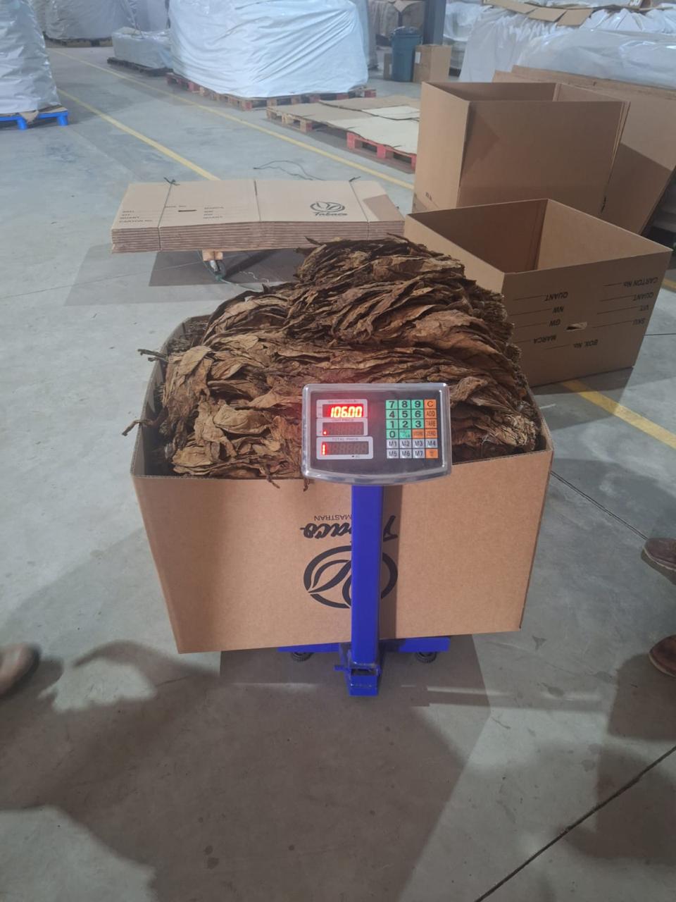 Control de peso en exportación