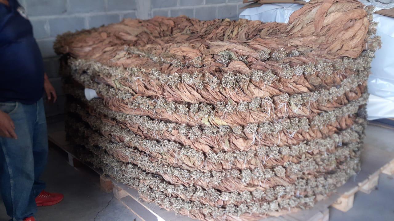 Pila de manojos para fermentar