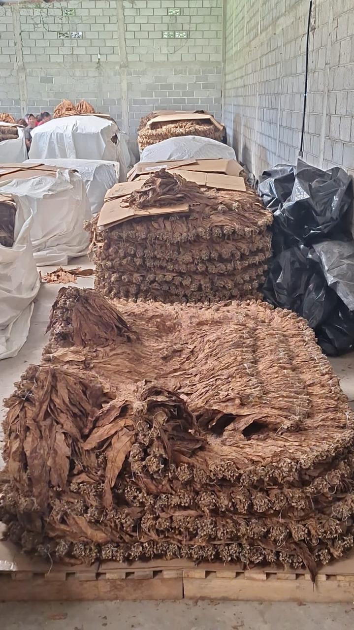 Bodega de fermentación