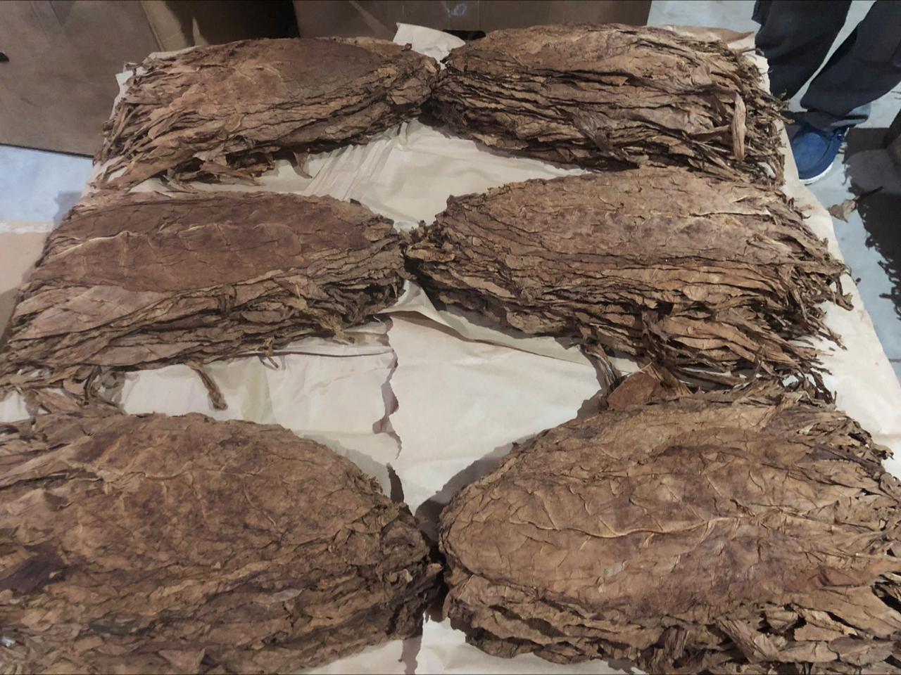 Tabaco fermentado terminado