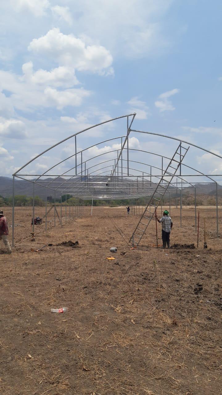 Construcción de invernadero
